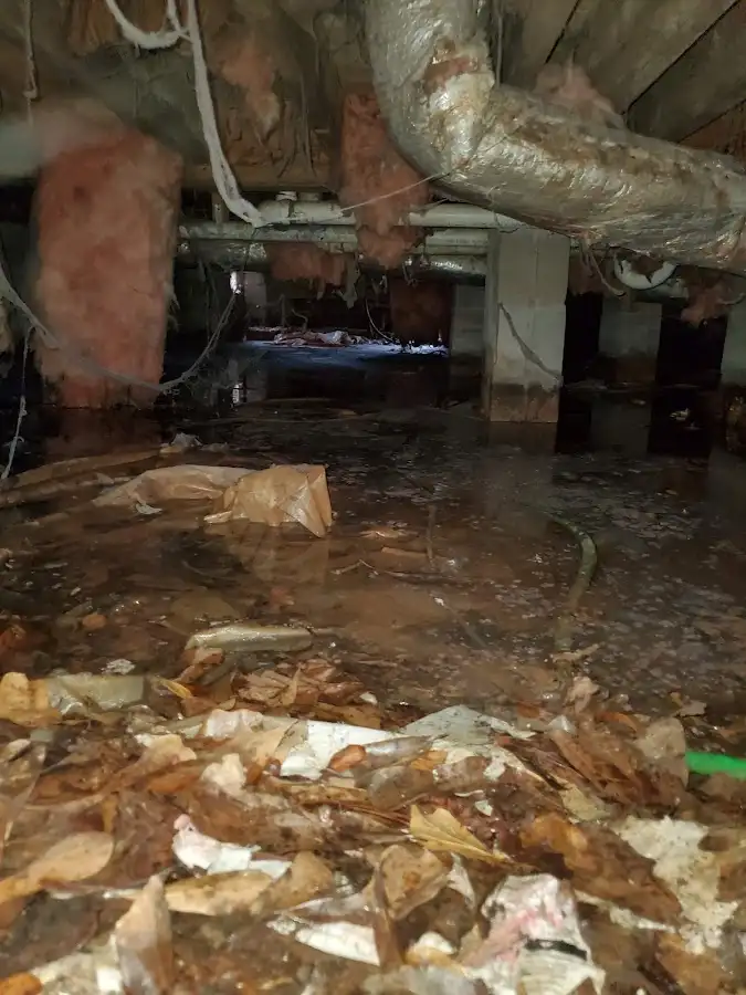 Crawl space flood assessment for Commercial Water Damage Restoration in Peppermill Village