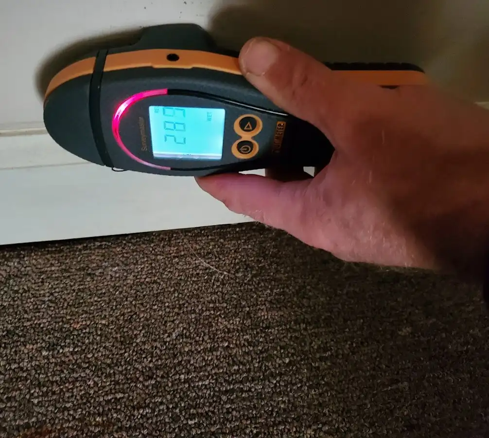 Moisture detection at baseboard during Sewage Cleanup & Sanitation in Peppermill Village